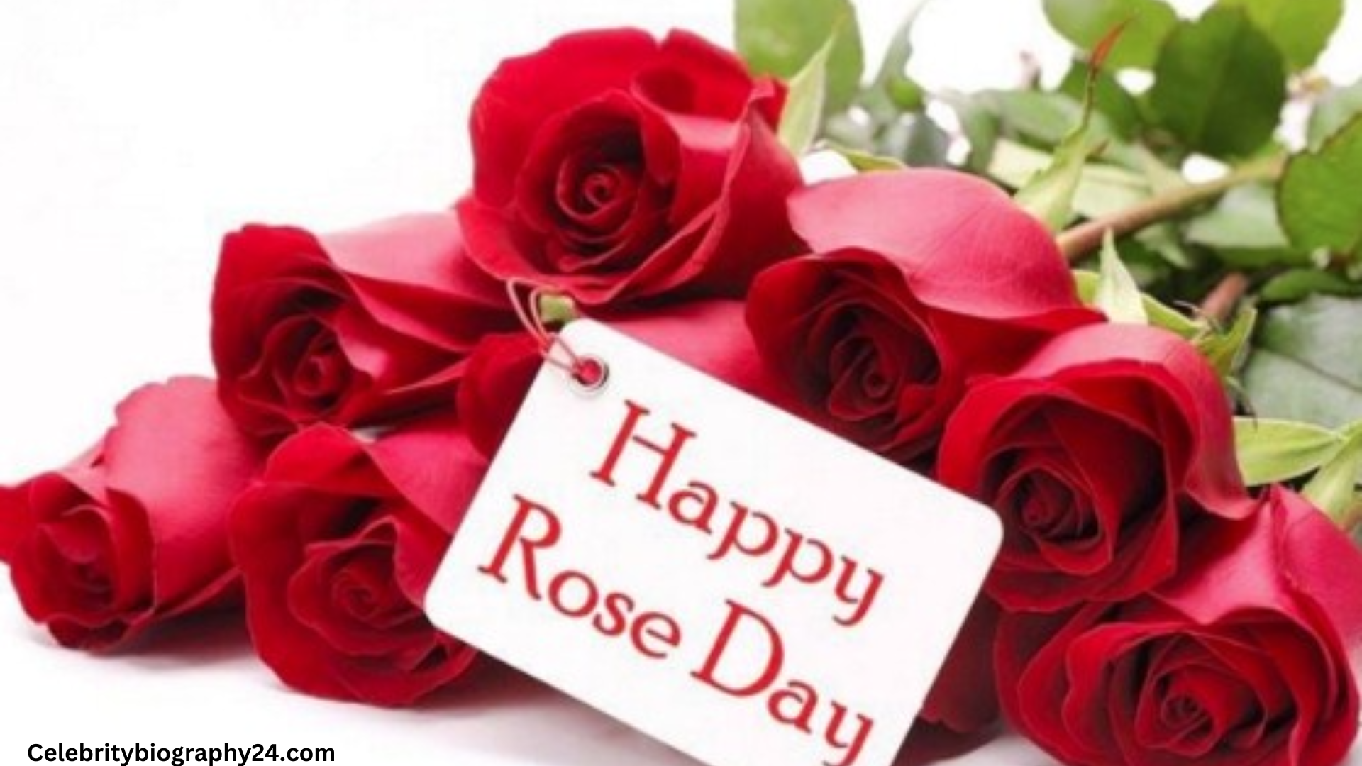 What is Rose Day? Rose Day Poetry SMS, Messages.